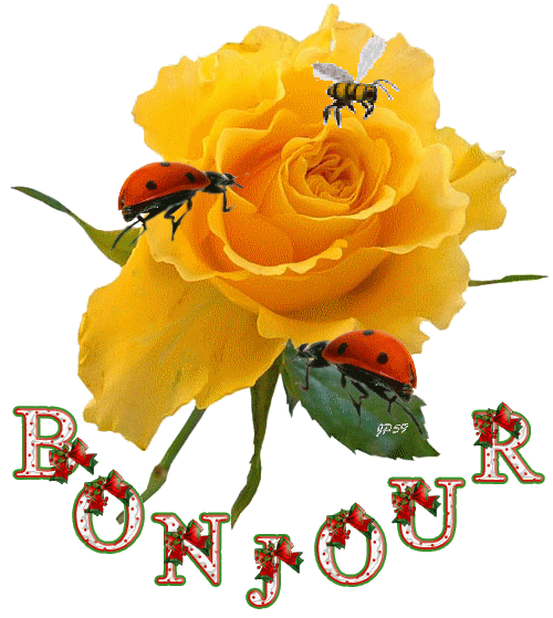 VENDREDI, le 6 MARS 2015 !!! 13ad54be