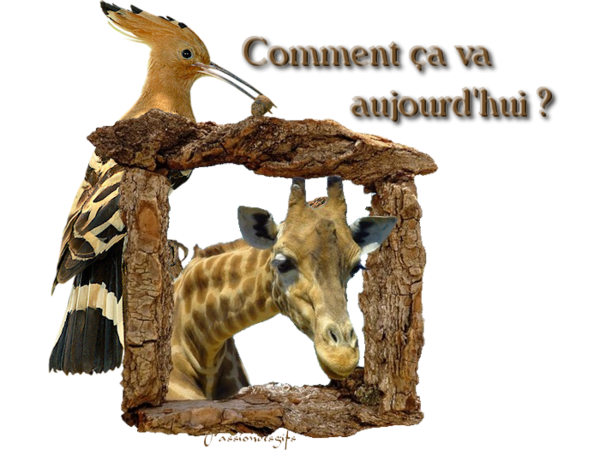 comment-a-va-aujourd-hui