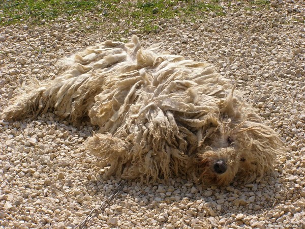 Belle image - fond d'écran