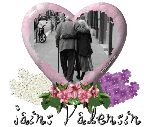 746198bonnesaintvalentingifanimdentelledelune10.gif