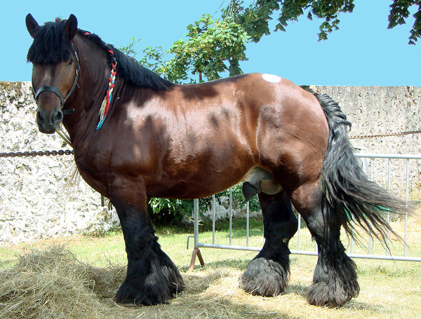 Site rencontre pau 64