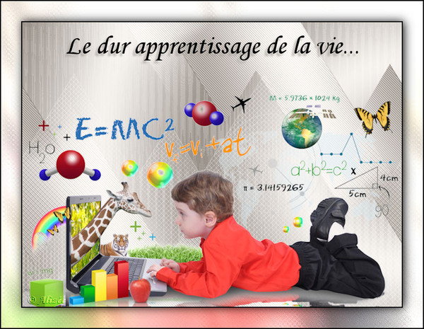 Le dur apprentissage de la vie