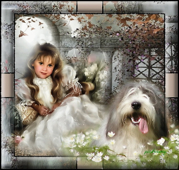 Bobtail et gracieuse demoiselle