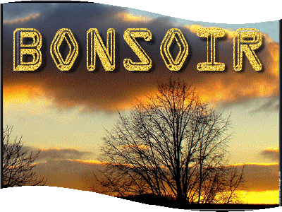 bonsoir-2.gif