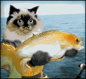 154