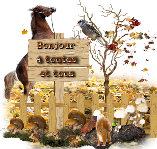Bonjour à toutes et à tous